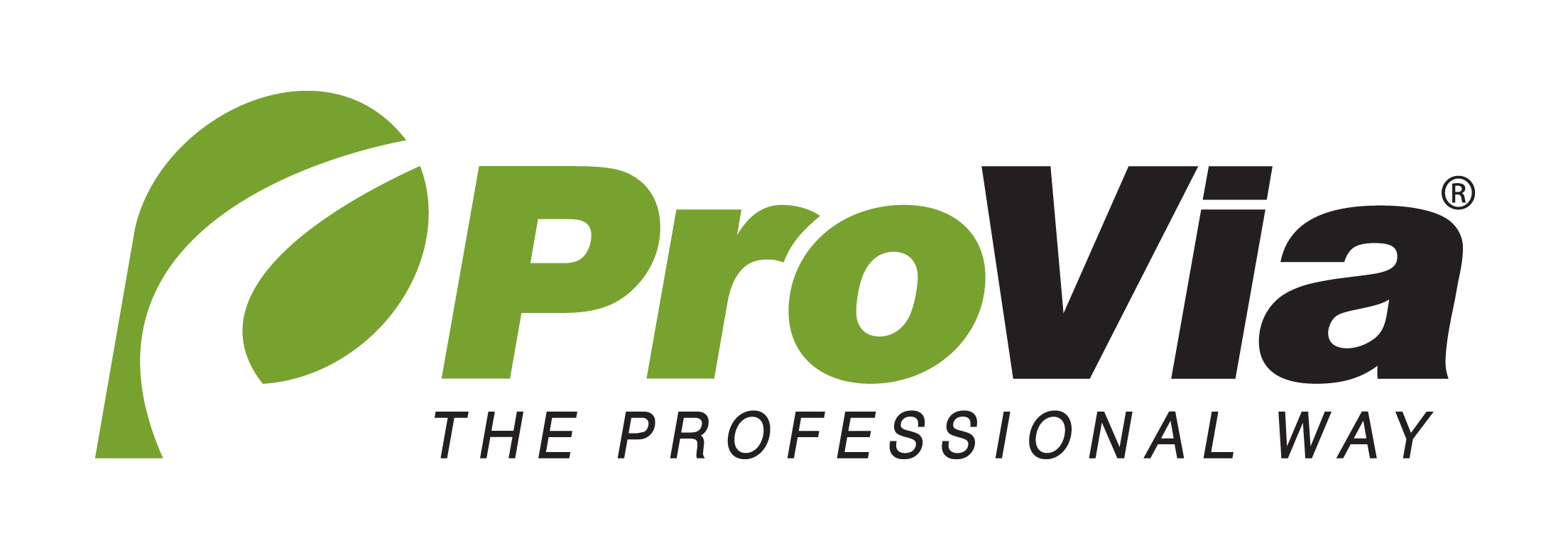 Pro Via Logo